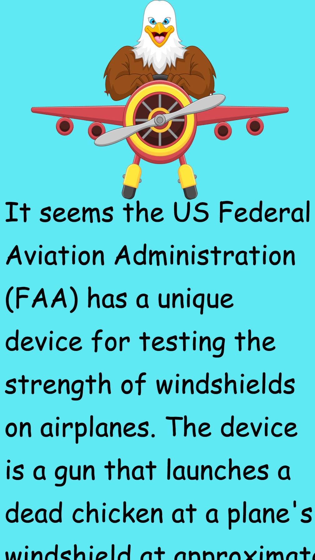 Thawed Chicken air plane bird attack funny story